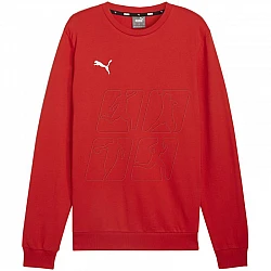 Puma Team Goal Casuals Crew Neck Sweat M 658592 01