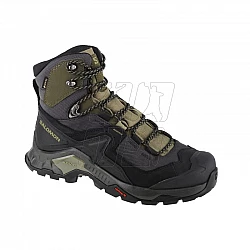 Salomon Quest Element GTX M 414571