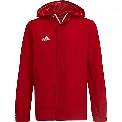 adidas Entrada 22 All-Weather Jr IK4013