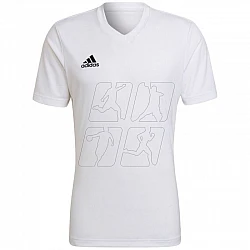 Tričko adidas Entrada 22 Jersey M HC5071