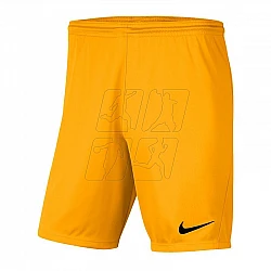 Trenky Nike Dry Park III M BV6855-739