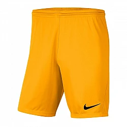 Trenky Nike Dry Park III M BV6855-739 Trenky Nike Dry Park III M BV6855-739