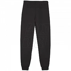 Tepláky Puma Team Goal Jr 658601 03