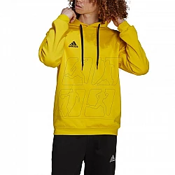 adidas Entrada 22 Hoody M HI2140
