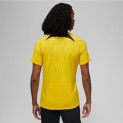 Tričko Nike PSG DF Academy Pro SS Top PM 4TH M DR4906 720