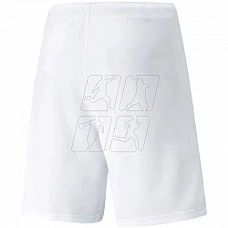 Trenky Puma teamRISE Short M 704942 03