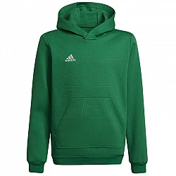 adidas Entrada 22 Hoody Y Jr HI2143