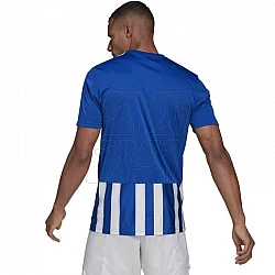 Tričko adidas Striped 21 JSY M GH7321