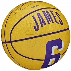 Lopta Wilson NBA Player Icon Stephen Curry Mini Ball WZ4007401XB