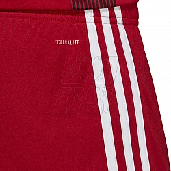 Trenky adidas Tastigo 19 Shorts M DP3681