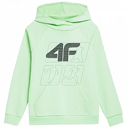 4F Jr 4FJSS23TSWSM220 42S