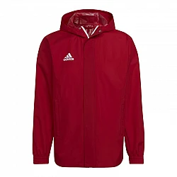 adidas Entrada 22 All-weather M HG6299