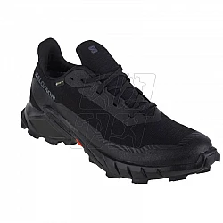 Salomon Alphacross 5 GTX M 473075