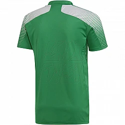 Tričko adidas Regista 20 Jersey M FI4559