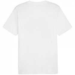 Tričko Puma Graphics Summer Sports Tee II M 627909 02