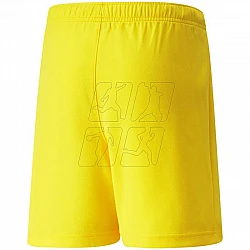 Trenky Puma teamRise Short Jr 704943 07