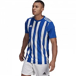Tričko adidas Striped 21 JSY M GH7321