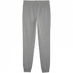 Tepláky Puma Team Goal Casuals M 658598 33