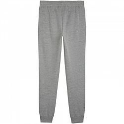Tepláky Puma Team Goal Casuals M 658598 33