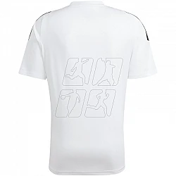 Tričko adidas Tiro 24 Jersey M IS1019