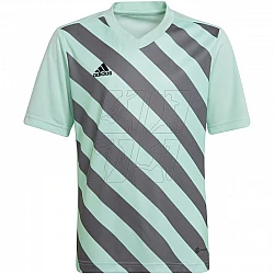 Tričko adidas Entrada 22 Graphic Jersey Jr HF0127