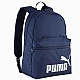 Pleack Puma Phase 091164-02