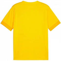 Tričko Puma teamGoal Matchday Jersey M 705747 07