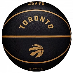 Wilson NBA Team City Collector Toronto Raptors Ball WZ4016428ID