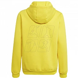 adidas Entrada 22 Hoody Y Jr HI2142