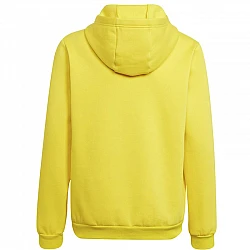 adidas Entrada 22 Hoody Y Jr HI2142