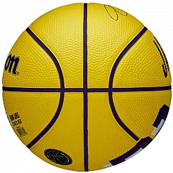 Wilson NBA Player Icon LeBron James Mini Ball WZ4027701XB
