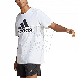 Tričko adidas Essentials Single Jersey Big Logo Tee M IC9349