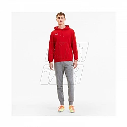 Puma TeamGoal 23 Casuals M 656580-01
