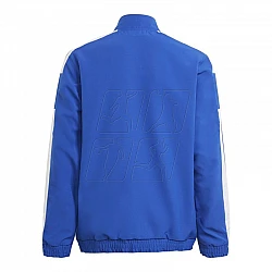 adidas Squadra 21 Jr GP6442