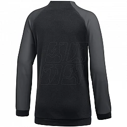 Nike Dri FIT Academy Pro Jr DH9283 011