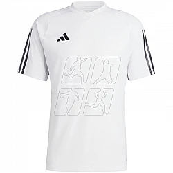Tričko adidas Tiro 23 Competition Jersey M IC4565