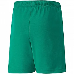 Trenky Puma teamRISE Short Jr 704943 05
