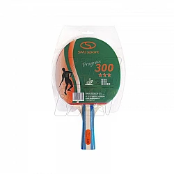 SMJ 300