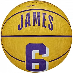 Lopta Wilson NBA Player Icon Stephen Curry Mini Ball WZ4007401XB