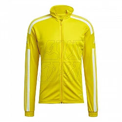 adidas Squadra 21 Training M GP6465