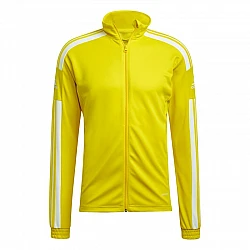 adidas Squadra 21 Training M GP6465
