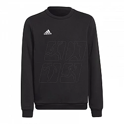 adidas Entrada 22 Sweat Jr H57474