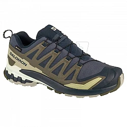 Salomon XA Pro 3D v9 GTX M L47823000