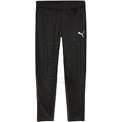 Tepláky Puma Team Goal Training M 658639 03