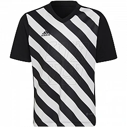 Tričko adidas Entrada 22 Graphic Jersey Jr HF0123