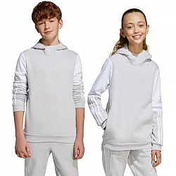 adidas Squadra 25 Sweat Hoody Jr JD4808