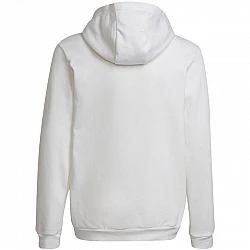 adidas Entrada 22 Hoody Jr HG6303