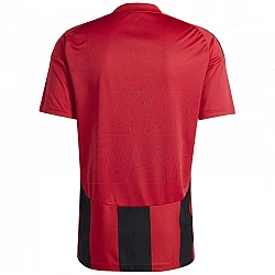 Tričko adidas Striped 24 JSY M IW4556