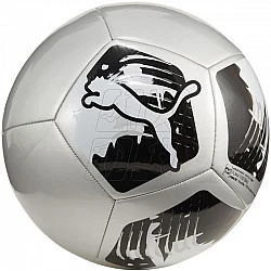 Futbalová lopta Puma Big Cat 84214 03