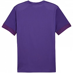 Tričko Puma teamGoal Matchday Jersey M 705747 10
